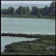 Parco del Delta 