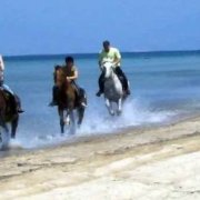 Passeggiate a Cavallo